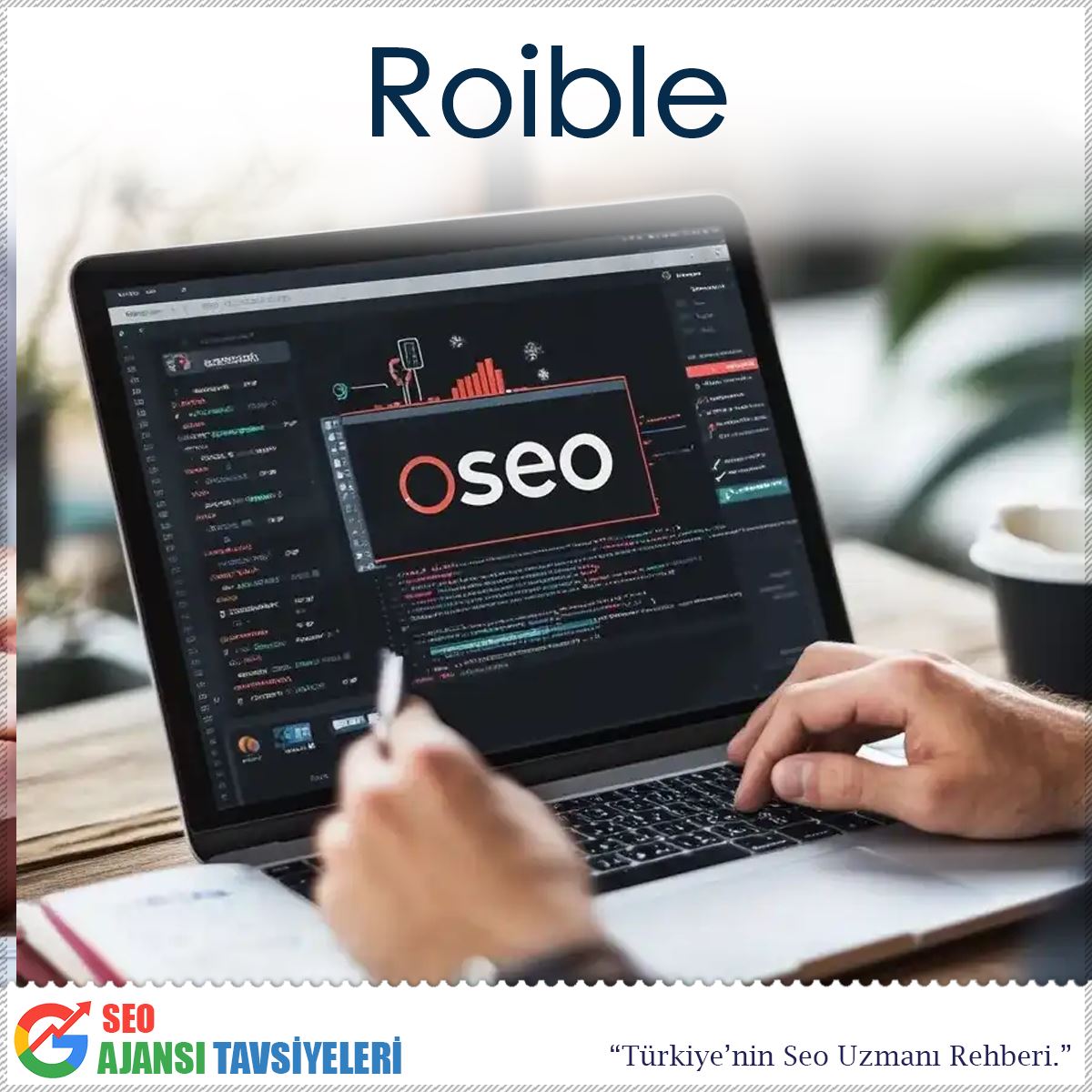 Roible : İstanbul Seo Ajansı 