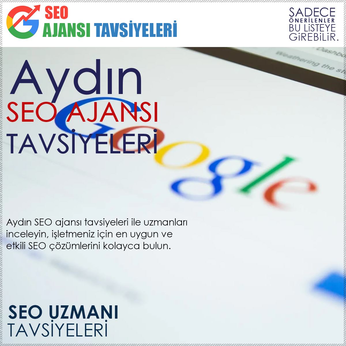 Aydın Seo Ajansları