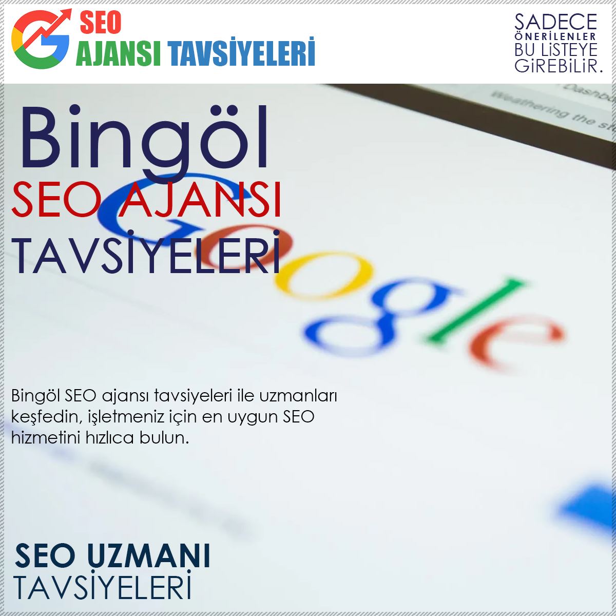Bingöl Seo Ajansları