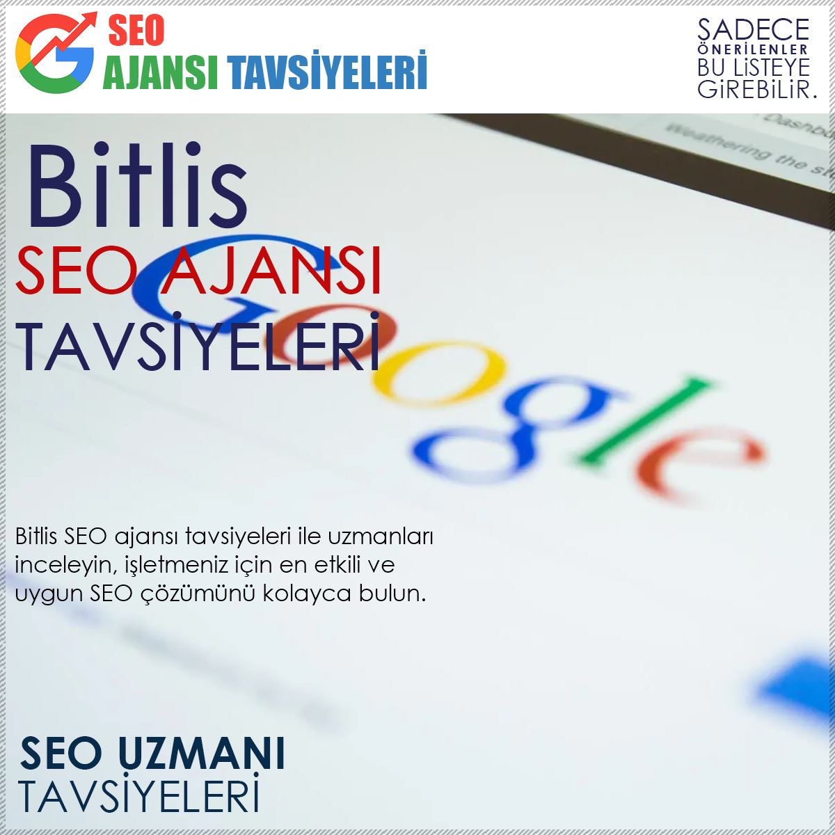 Bitlis Seo Ajansları
