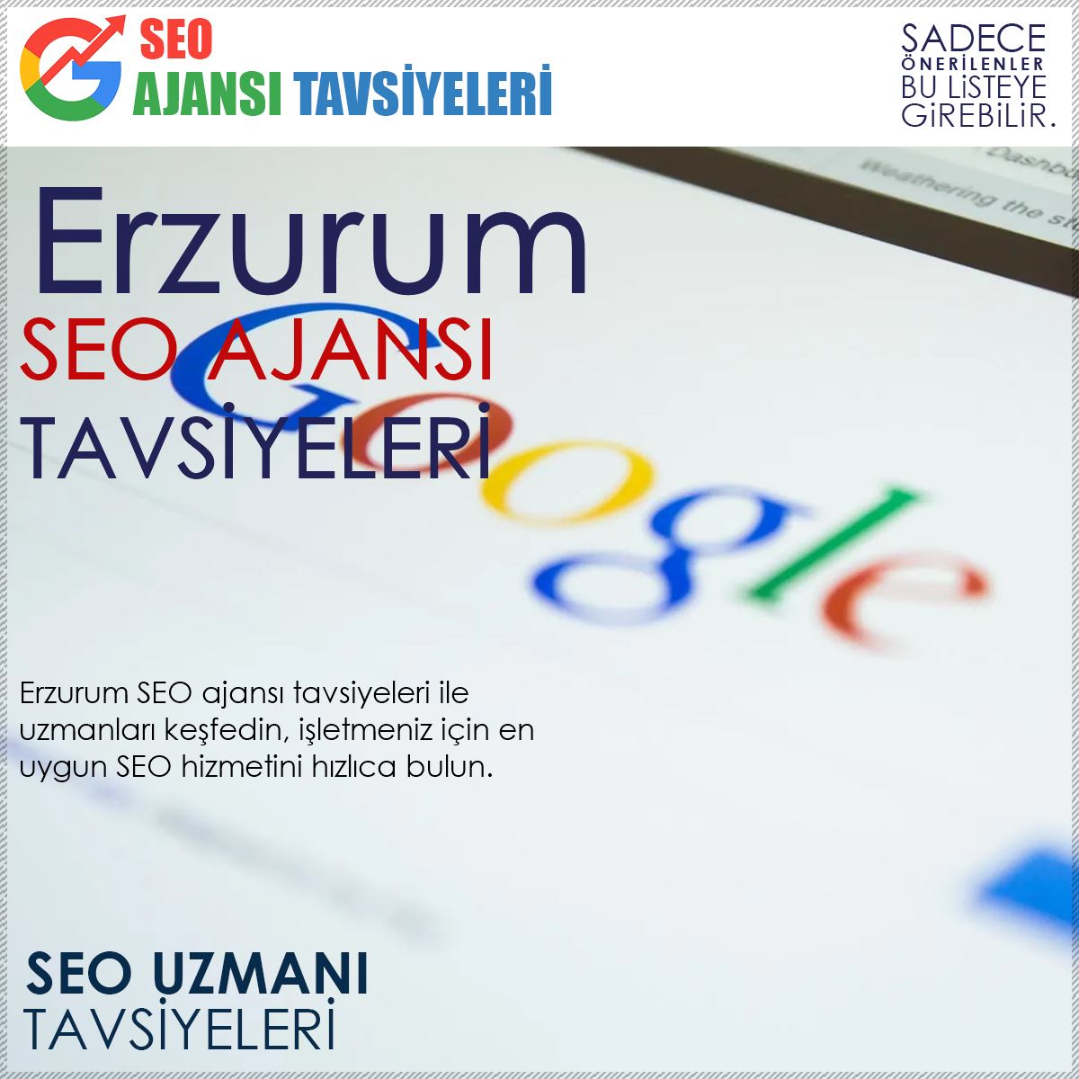 Erzurum Seo Ajansları