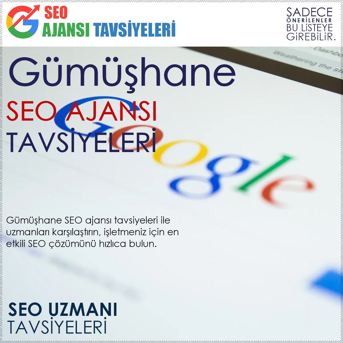 Gümüşhane Seo Ajansları