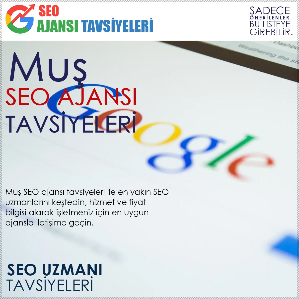Muş Seo Ajansları